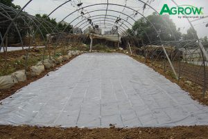 ضدعفونی خاک کشاورزی- آفتاب‌دهی- پراکسیدین