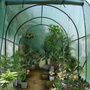 Quicent greenhouse